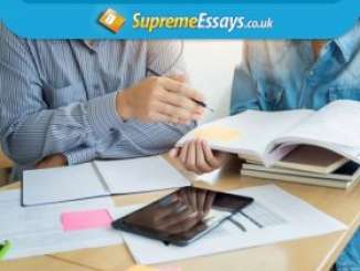 Help in Writing Case Study Report