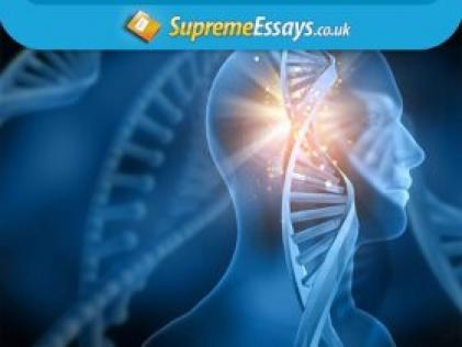 Writing Science Essay Guide